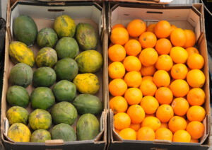 View of boxes filled with mango and oranges